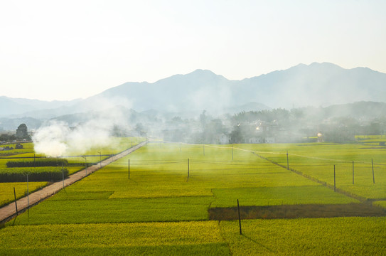 南方农村