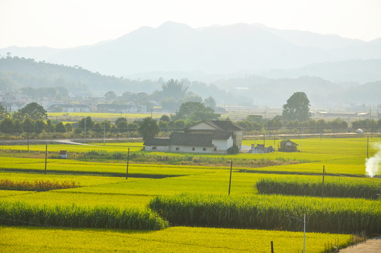 故乡田园