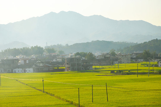 乡村小镇