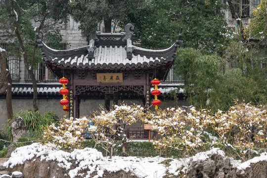 瞻园雪景