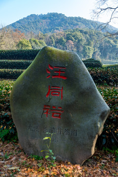 浙江杭州九溪风景区