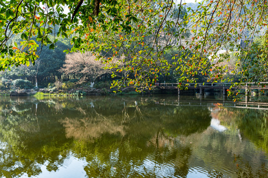 浙江杭州九溪烟树风景区