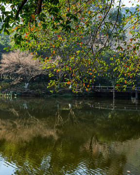 浙江杭州九溪烟树风景区