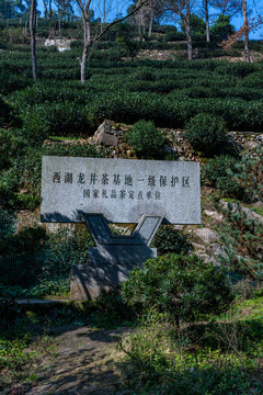 浙江杭州九溪烟树风景区