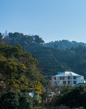 浙江杭州九溪烟树风景区