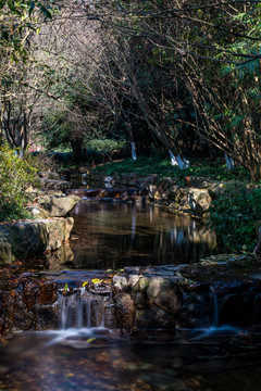 浙江杭州九溪烟树风景区