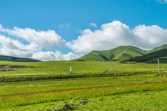 乌兰布统红山军马场