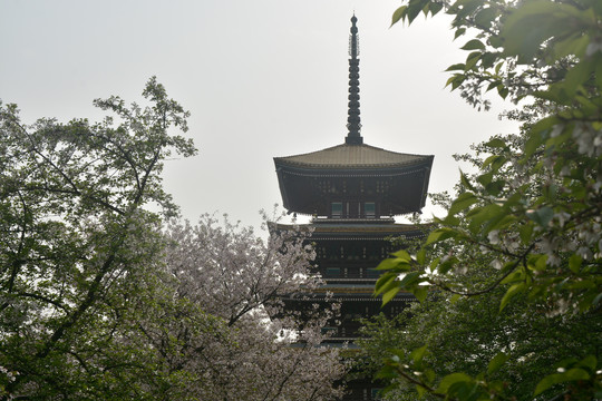 武汉东湖公园