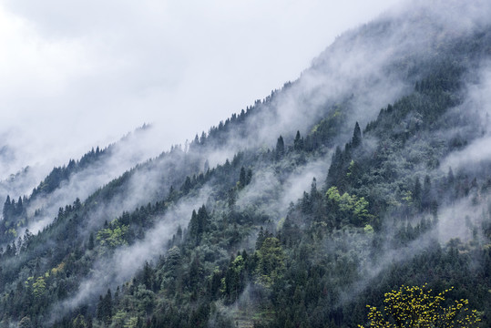 山村生态雨雾大山