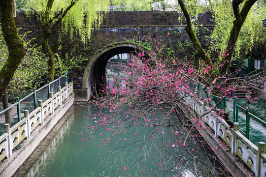 杭州凤山水城门