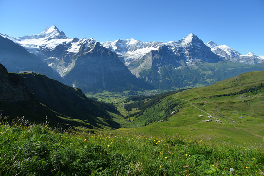 瑞士高山景观
