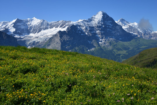 瑞士高山景观
