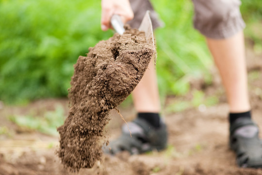 园丁-只有脚可以看到-挖掘土壤在春天用铁锹使花园准备好