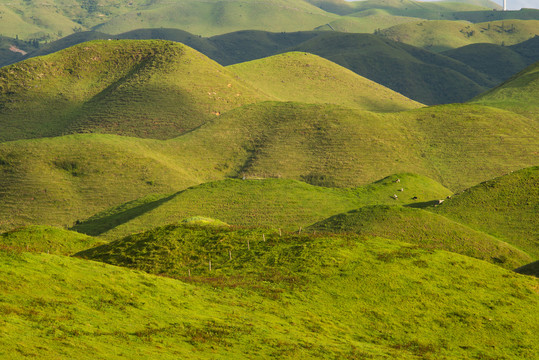 湖南邵阳城步南山大草原风光