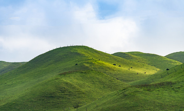 湖南邵阳城步南山大草原风光