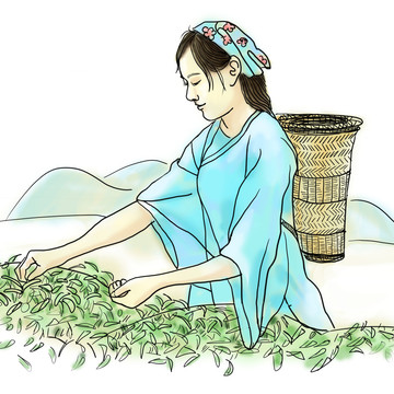 采茶插畫