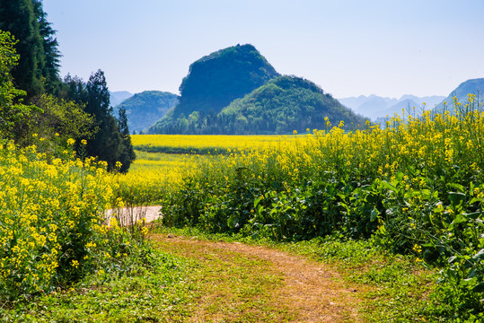 乡村小路