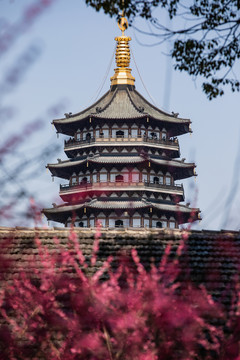 杭州雷峰塔