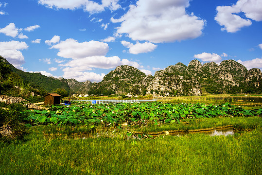 田园山水