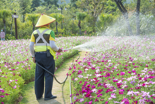 工人浇花