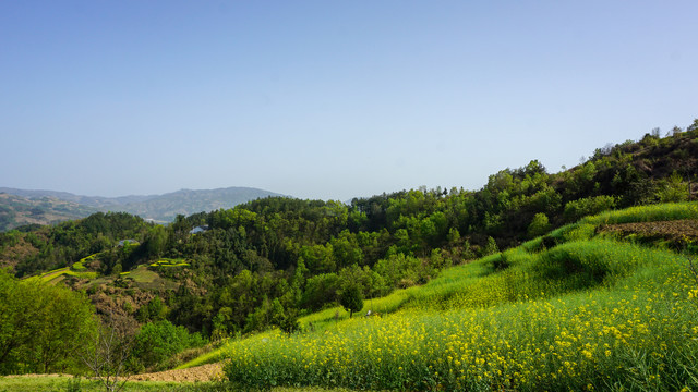 县河青山