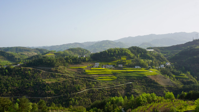 县河阳坡寨村庄