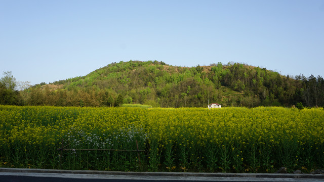 县河阳坡寨基地