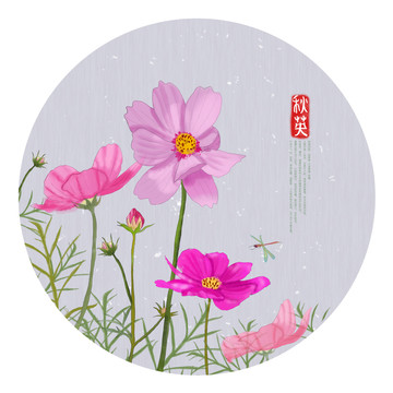 秋英花朵圓型裝飾畫