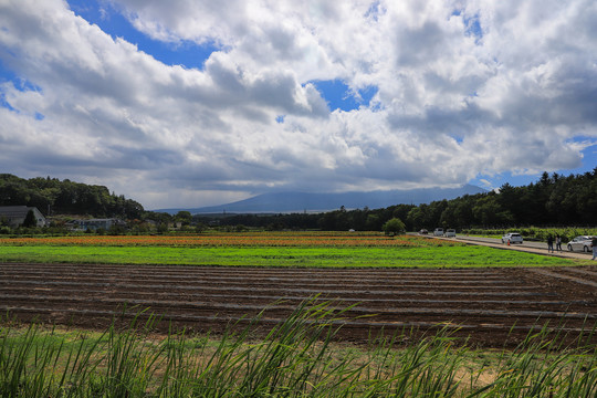 田园风光