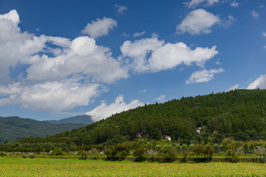 田园风光