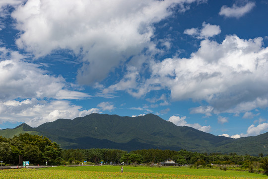 田园风光