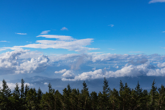 富士山景区风光