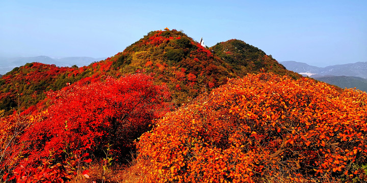 秋天美景