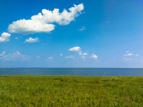 夏季草原呼伦湖达赉湖