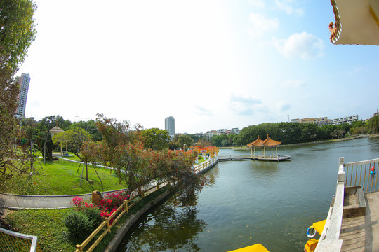茂名新湖公园