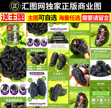 桑葚詳情頁