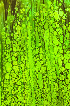 绿色细胞流体画