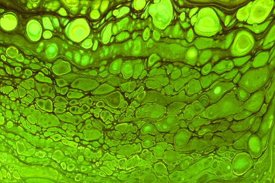 绿色细胞流体画