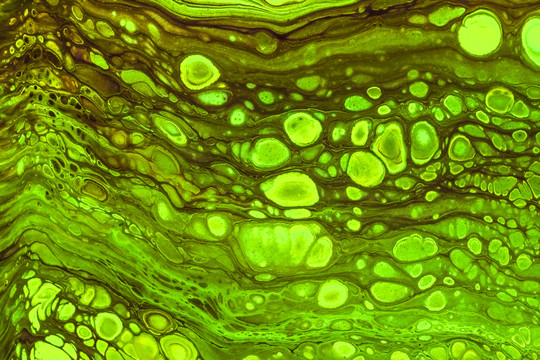 绿色细胞流体画背景