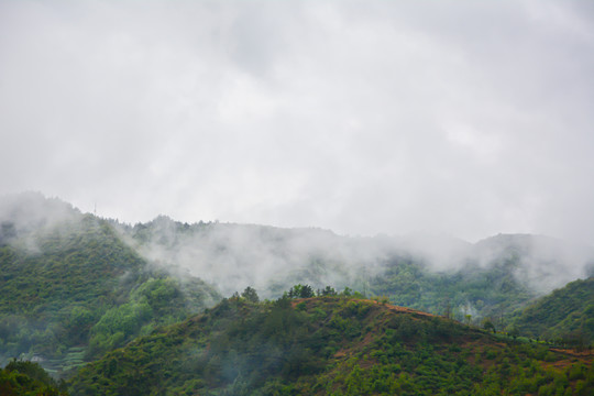 云雾大山