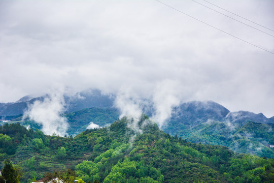 云雾大山