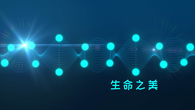 生命之美