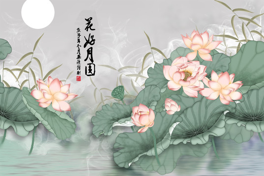 荷花手绘