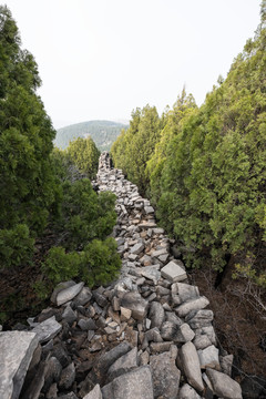 大峰山齐长城