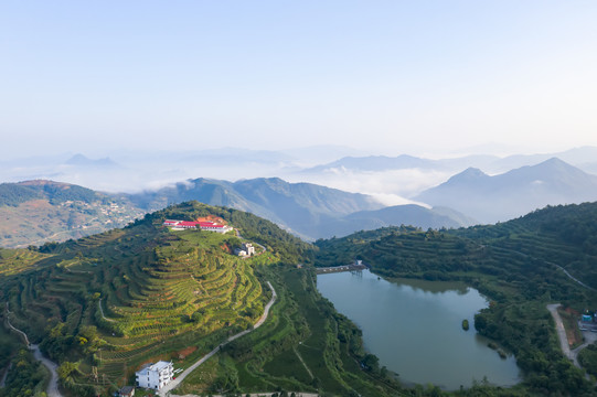 高山水库阶梯茶园