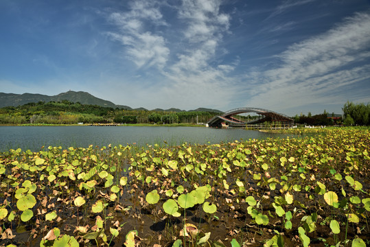 河北省石家庄市鹿泉区龙泉湖公园