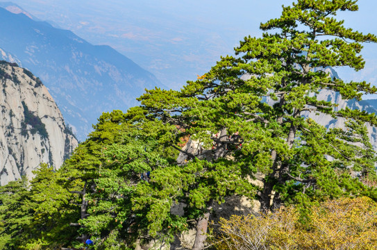 西岳风光