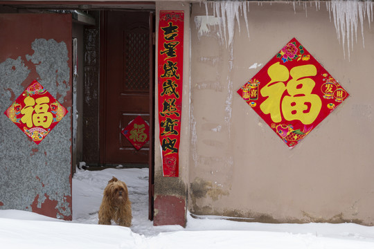 福门瑞雪