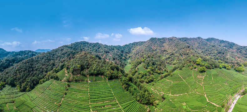 航拍杭州西湖高山茶园