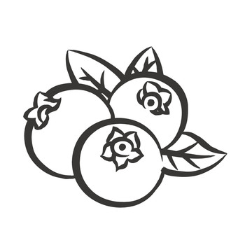 藍莓矢量簡筆畫